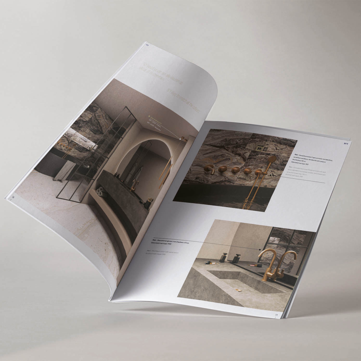 IVY brochure